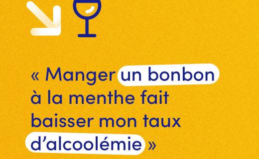 MCF Post LeSaviezVous bonbon alcool miniature